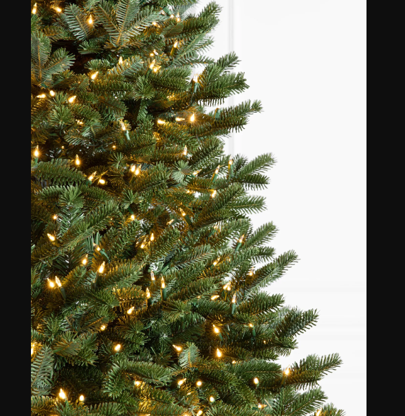 BALSAM HILL Fraser Fir Narrow 6.5 Tree w/Candlelight Clear LED Lights