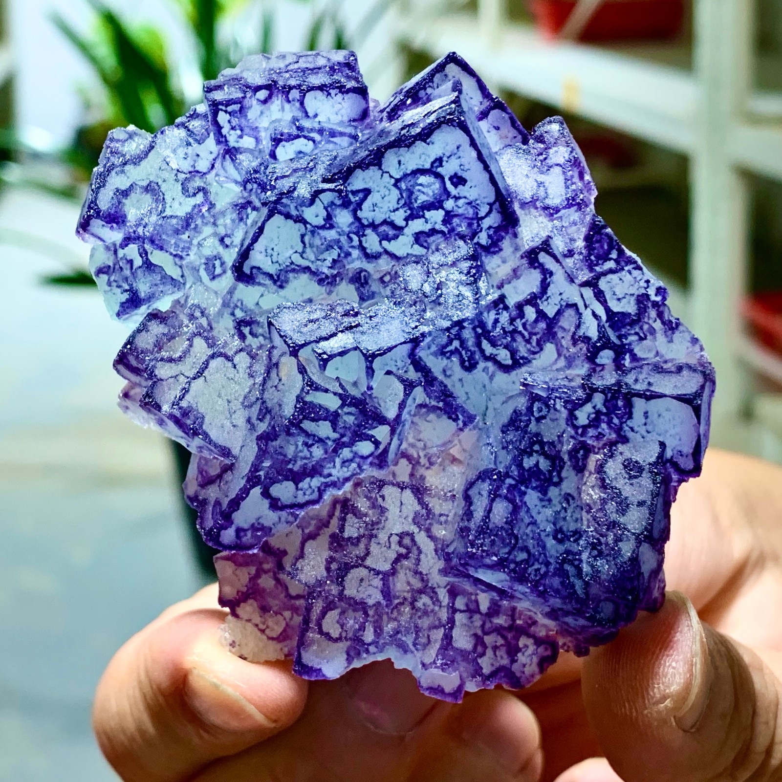 115G Natural Purple Green Fluorite Cubic Crystal Mineral Specimen from Yaogangxian