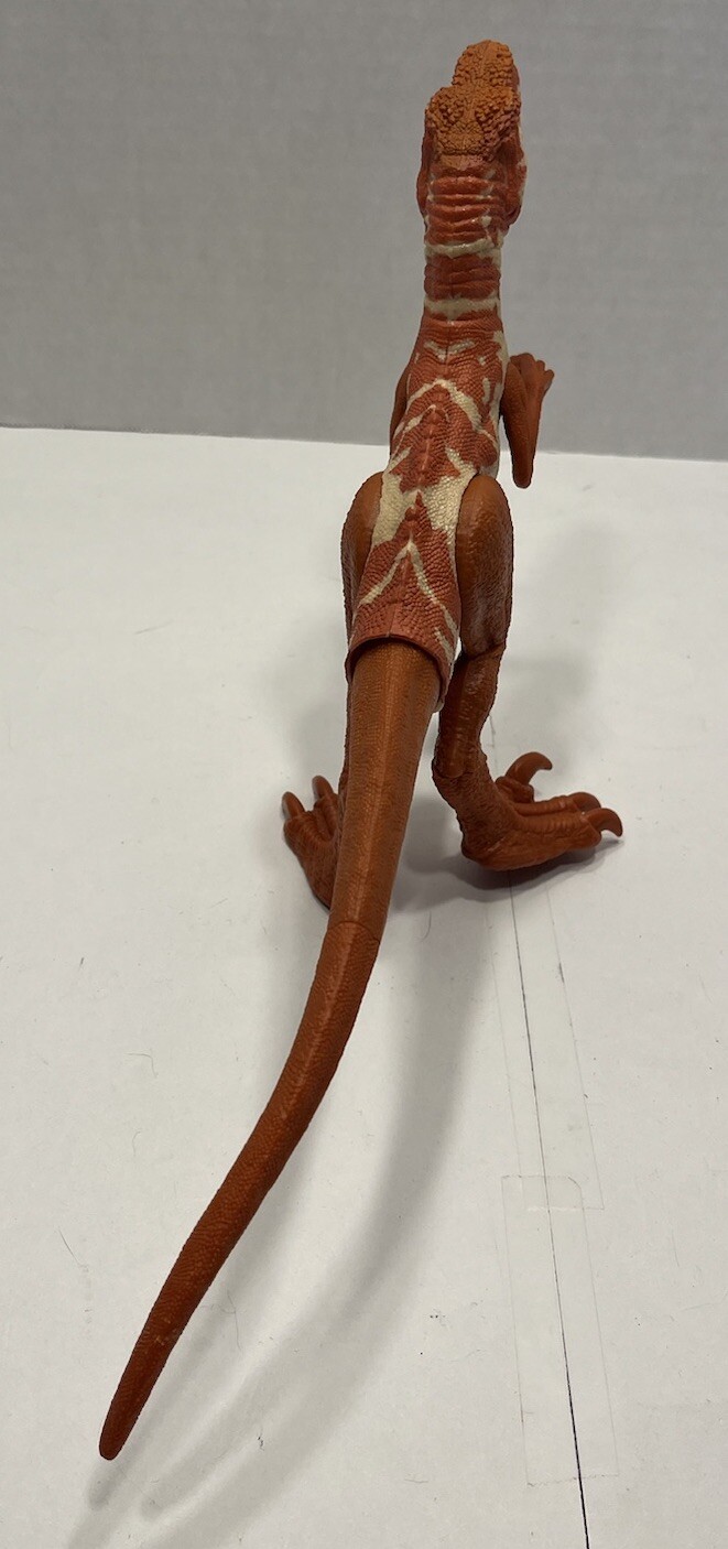 Picture 6 of 10