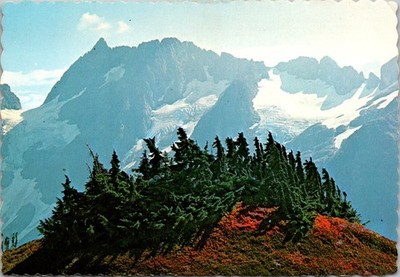 Washington Magic Mountain North Cascades National Park Continental Postcard A655