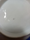 Picture 11 of 11