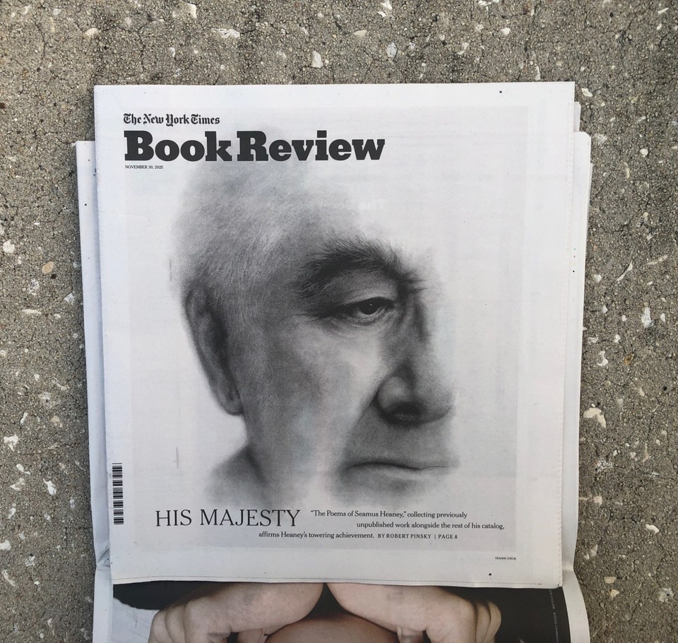 new-york-times-sunday-november-30-2025-stranger-things-book