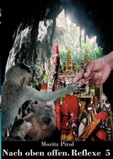 Nach oben offen. Reflexe 5: Tagebuchnotizen by Moritz Pirol (German) Paperback B