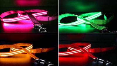 LED Lighted Night Time Dog Leash USB Rechargeable Always Be Safe Be Seen 