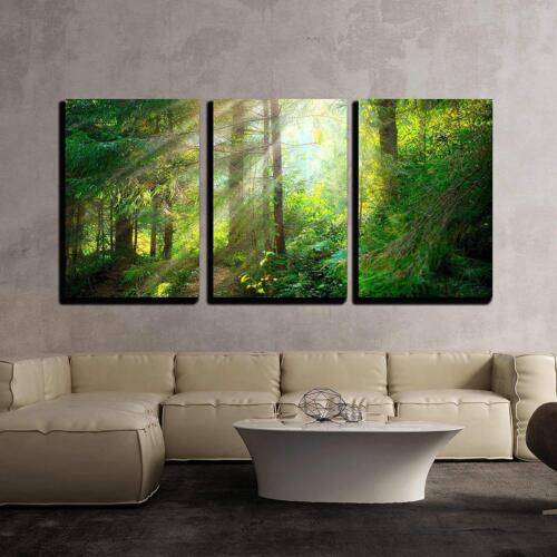 Wall26 16"x24"x3 Panels CVS Park Beautiful Misty Old Forest 