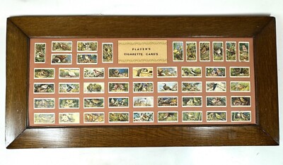 Players Cigarette Cards Antique Mounted Glued Birds Collection Framed 48  Piece