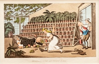 Dr. Syntax A Tour of - Aquatinta altkoloriert Rowlandson 1823 mit Passepartout