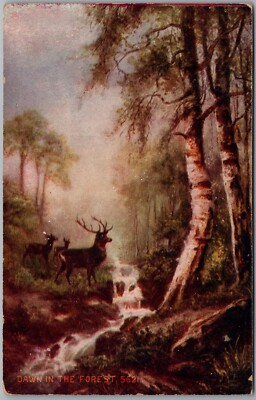 #ad Dawn In The Forest 5621 Deer Stream Postcard R266 $2.49