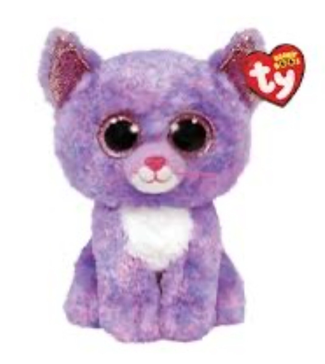 Ty Beanie Boo's Cassidy gatto