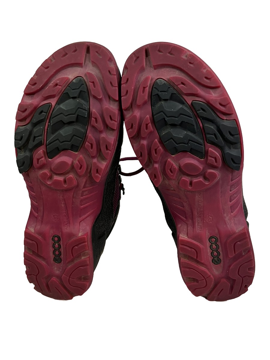 希少　ECCO biom terrain akka boa gtx Ecco Biom Terrain