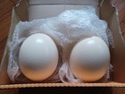 2 Blank Ostrich Egg Shells for Crafts, Carving, Painting, Decoration