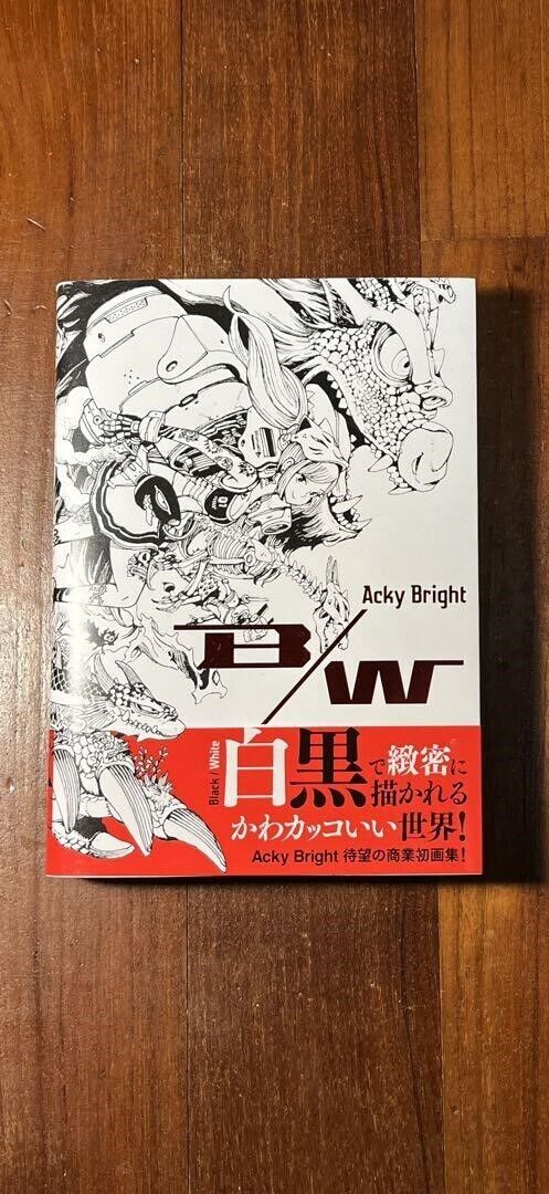 B/W Acky Bright Art Book Japan