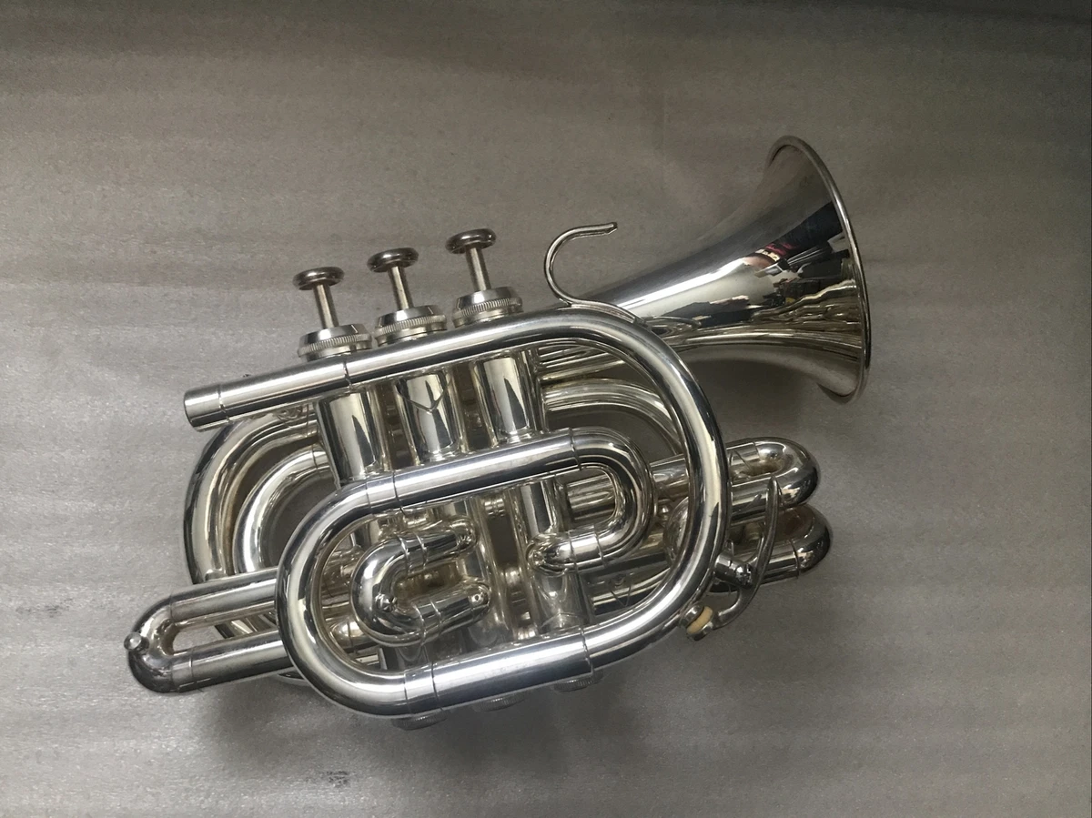 HOLIDAY ALE WERIL Bb POCKET TRUMPET SILVER PLATED PATTERNED