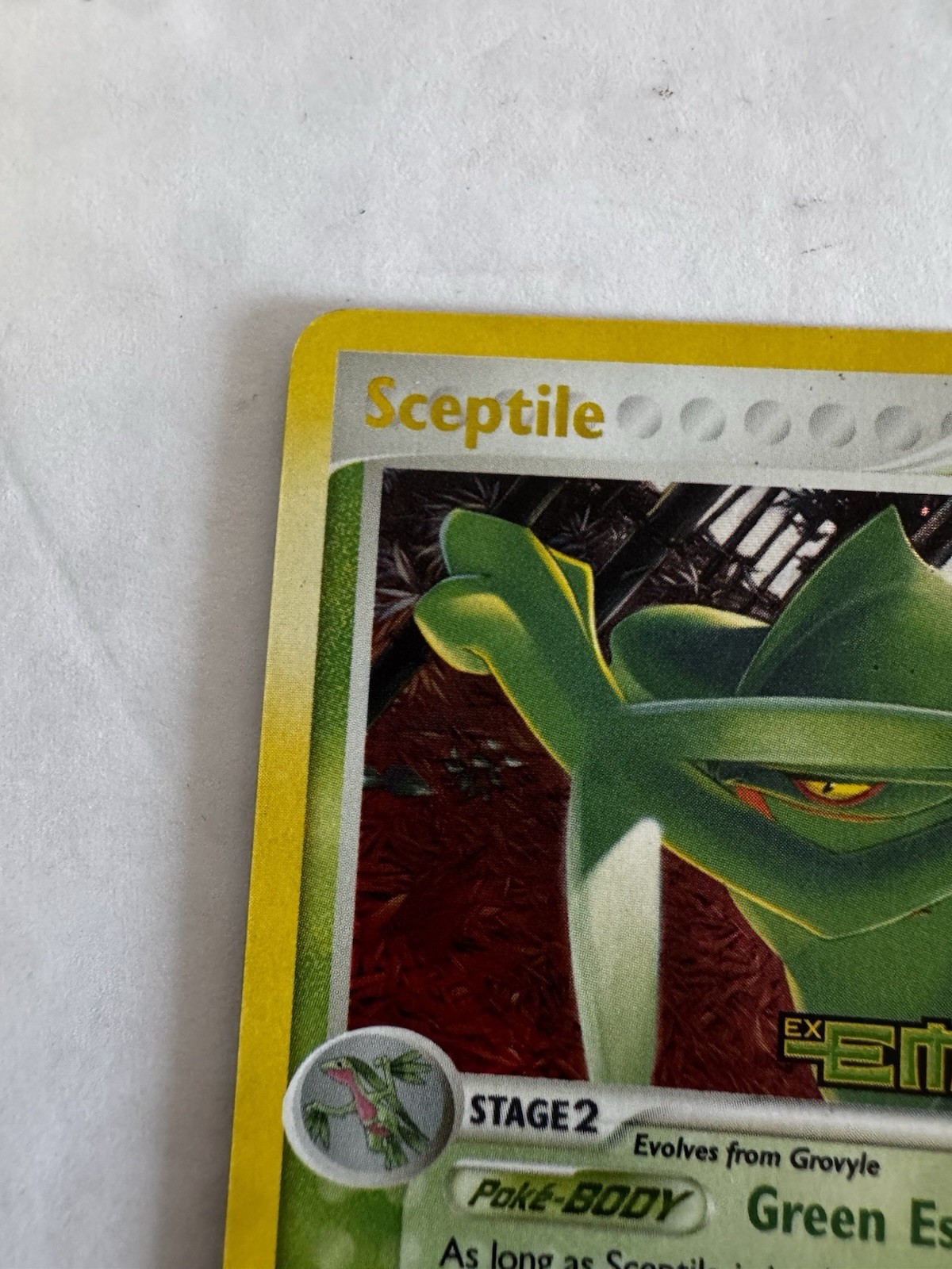 Sceptile Emerald Stamp Holo 10/106 NM 2006 Pokemon TCG Clean Card