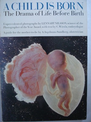 A Child Is Born The Drama Of Life Before Birth