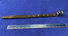 Vintage |  Dogla dog collar with Buffalo nickels — photo 2