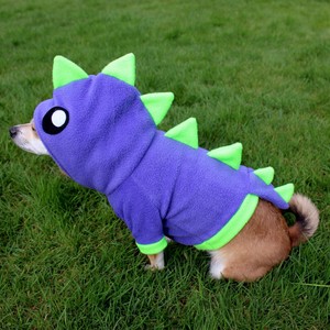 dog dinosaur hoodie
