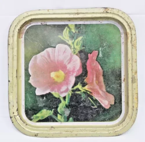 Nature Flowers Photo Litho Print Tin Tray - Rare Vintage Collectible from India - Picture 1 of 20