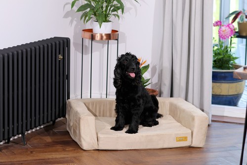 Smart Pet Beds - Dog/Cat - High Quality - Natural - Handmade - Bed for Life - Picture 6 of 32