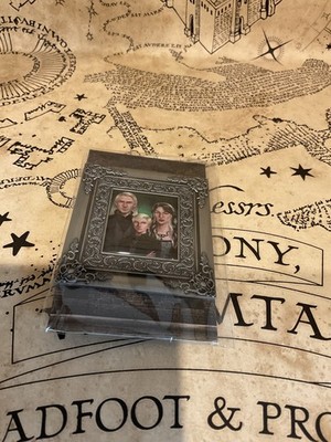 Harry Potter Draco Malfoy Familienportrait seltene Anstecknadel Zauberkoffer