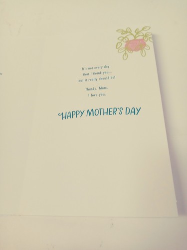Mothers Day Greeting Card Potted Plants American Greetings Blue w/ Envelope - Picture 3 of 5