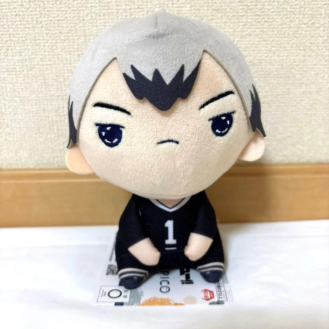 Haikyu Haikyuu Kita Shinsuke Mochipiko Plush Doll FuRyu 15cm From