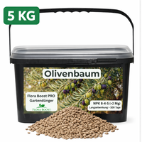 Olivenbaum DüNger Mit Langzeitwirkung 5 Kg | Flora Boost Pro Npk 8-4-5