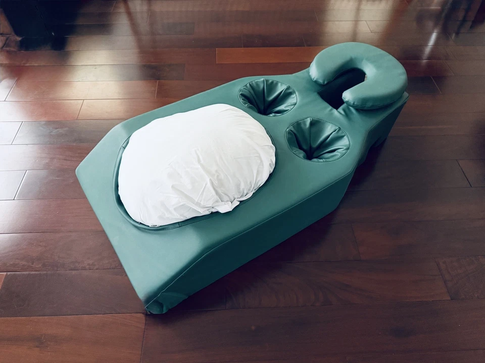 Cojín Earthlite para embarazo y propenso con reposacabezas masaje quiropráctica terapia PT Foto 4 de 4