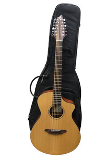 Breedlove AC250 SM 12 Acoustic Guitar Natural w/ Gig Bag