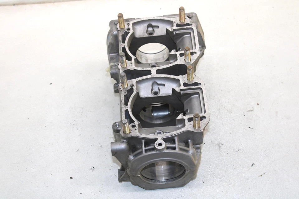 07 Polaris Trail Touring Deluxe OEM bloque motor cárter 3089225 SP207 Foto 2 de 4