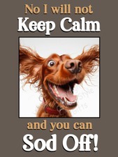 Red Irish Setter Dog Funny Gift Keep Calm Crazy Dog cute pet Fridge Magnet
