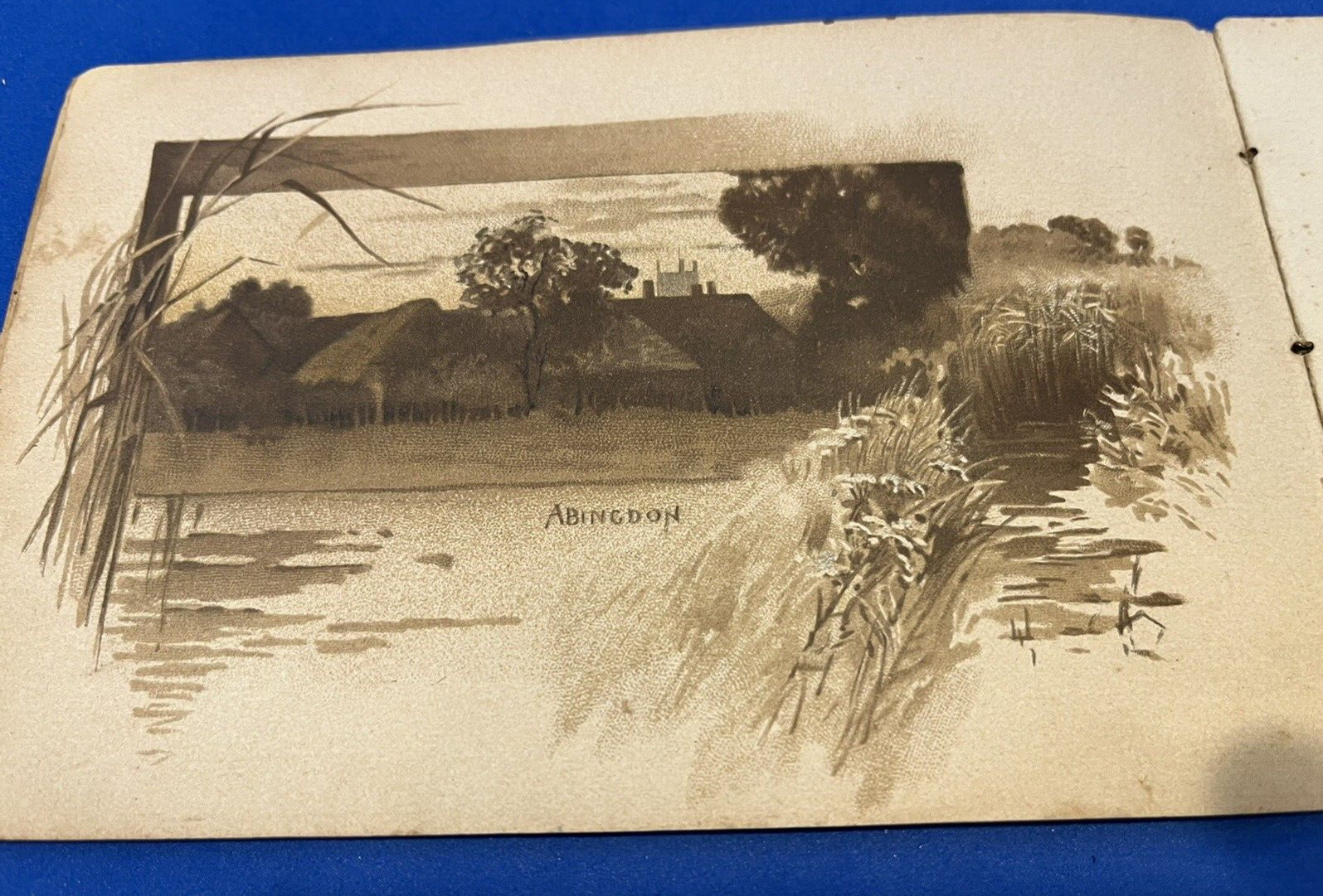 Picture 14 of 17