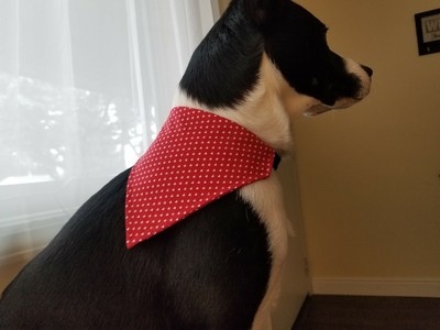 dog bandanas ebay