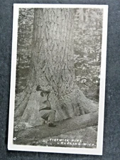 Vintage Postcard RPPC Man Cutting Hartwick Pine Grayling MI B6568
