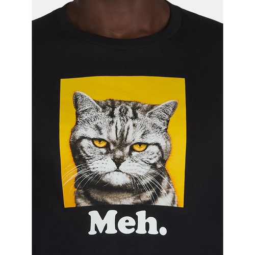 Humor Men's and Big Men's Meh Cat Graphic Tee Plus Black Size 3XL (54 -56) - 第 3/5 張圖片