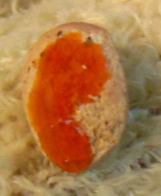 2.0ct Orange Mexican Fire Opal Double-Sided Freeform (see photos)
