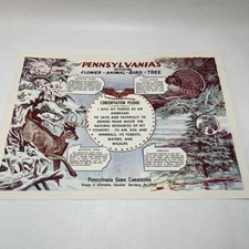 RARE Vtg Pennsylvania Game Commission Poster Official Flower Animal Bird Tree