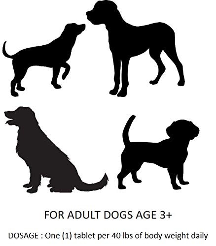 Essential Pet Adult Dog Hip & Joint Support Chewable Tablet Age 3+ with 500mg... - Bild 2 von 4