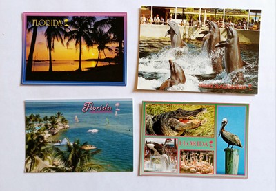 4 Postkarten Ansichtskarten Florida Miami Everglades USA Ansichtskarte