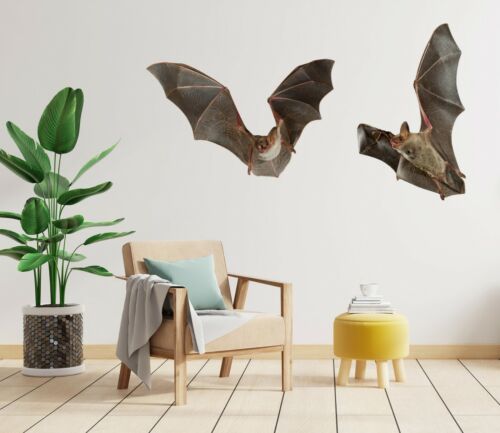 3D Bat Wings G500 Animal Wallpaper Mural Poster Wall Stickers Decal Honey - Zdjęcie 1 z 6