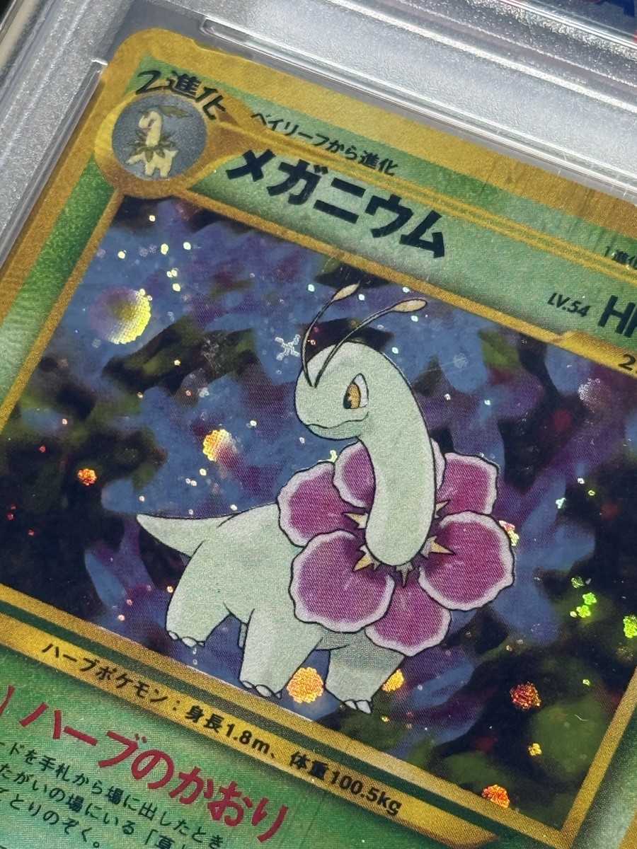 Pokemon 2000 Japanese Neo Meganium- Orb and Star Holo Premium File
