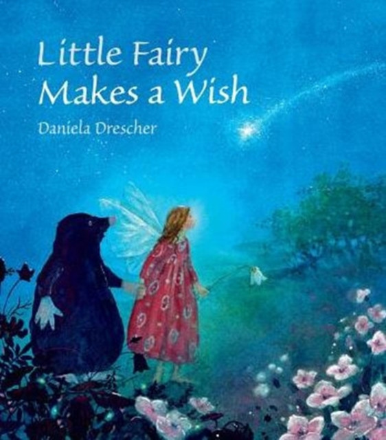 Little Fairy Makes a Wish by Daniela Drescher (Hardback Book)