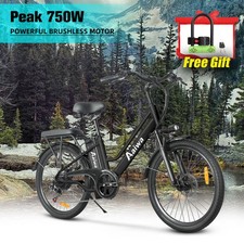 Electric Bike 750W Electric Bicycle 48V 20AH 24" Fat Tire Mountain e bike Adult