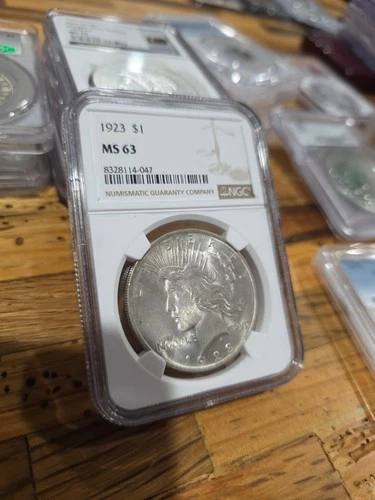 Stunning 1923 NGC Graded MS 63 Peace Dollar Silver Coin