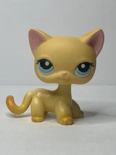 Littlest Pet Shop Short Hair Cat #339 Authentic Brooke