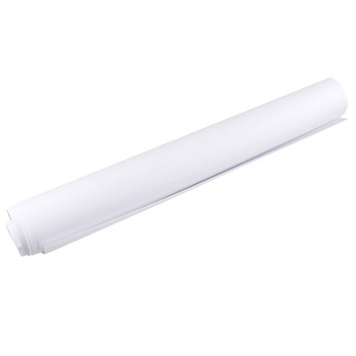 Oilproof Stain Resistant Kitchen Wall Sheet Oil-Proof Wall Protector