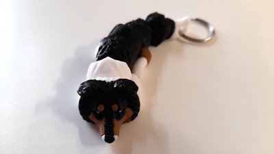 Collie Schlüsselanhänger 3D Druck Flexibel Keychain Articulated Dog