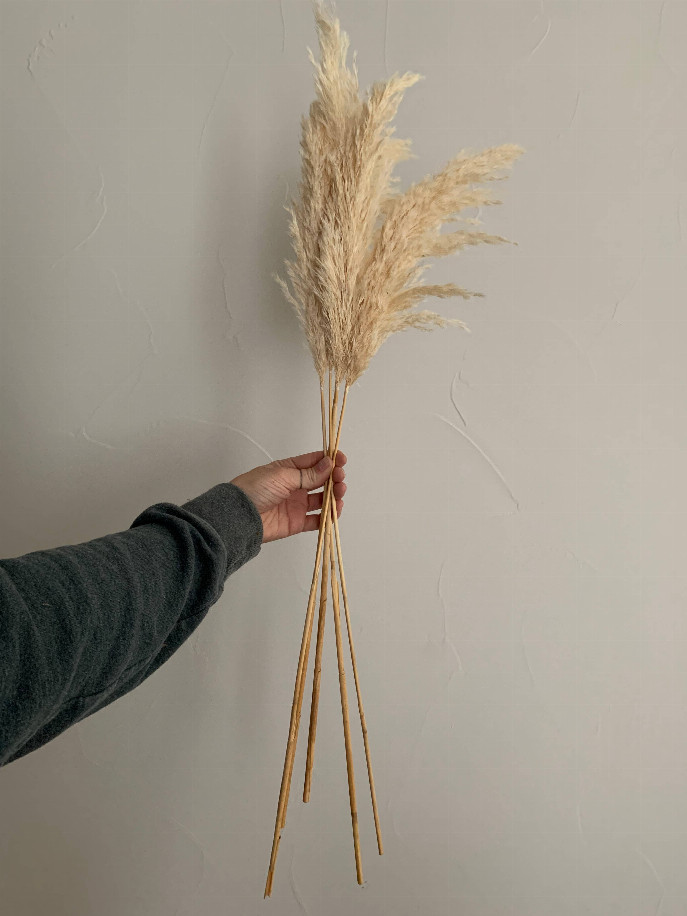 Пампасная трава, засушенный цветочный декор - Белый 30