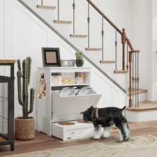 Pet Feeder Station Storage Cabinet, Dog Food Storage Container With Dog Raised B