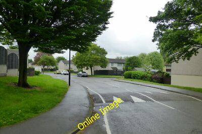 Foto 6x4 Kinross Avenue Derby\/SK3535 Eine angenehme, von Bäumen gesäumte Allee durch c2014